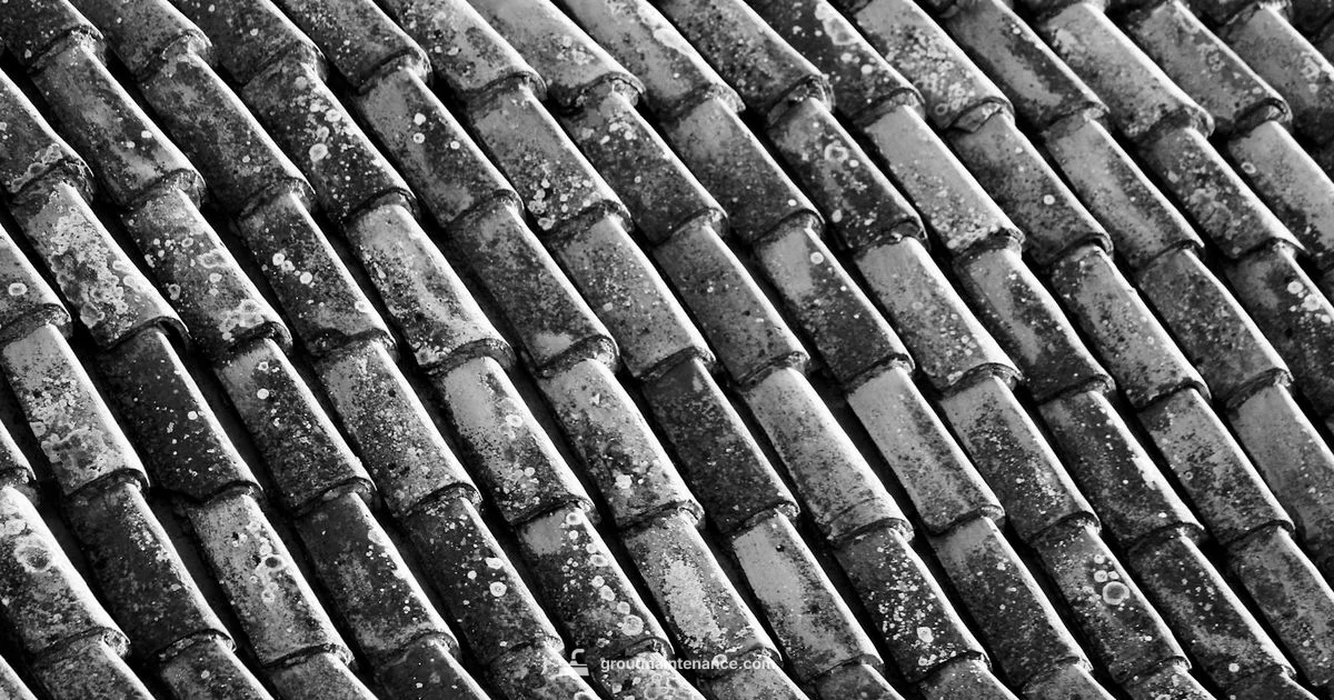 Hard vs Soft Grout - Grout Maintenance