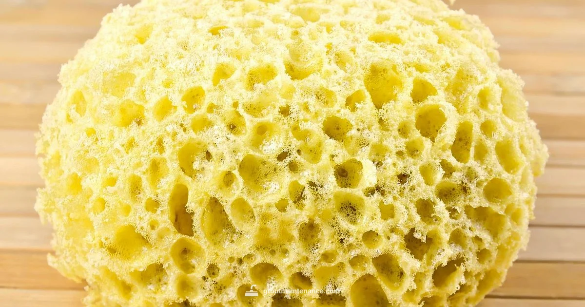 Grout Care Guide - Grout Maintenance