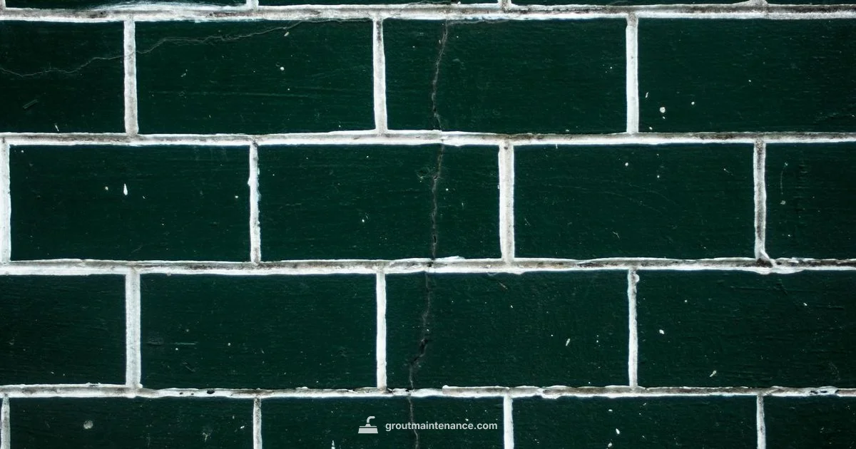 Wet Grout Warning - Grout Maintenance