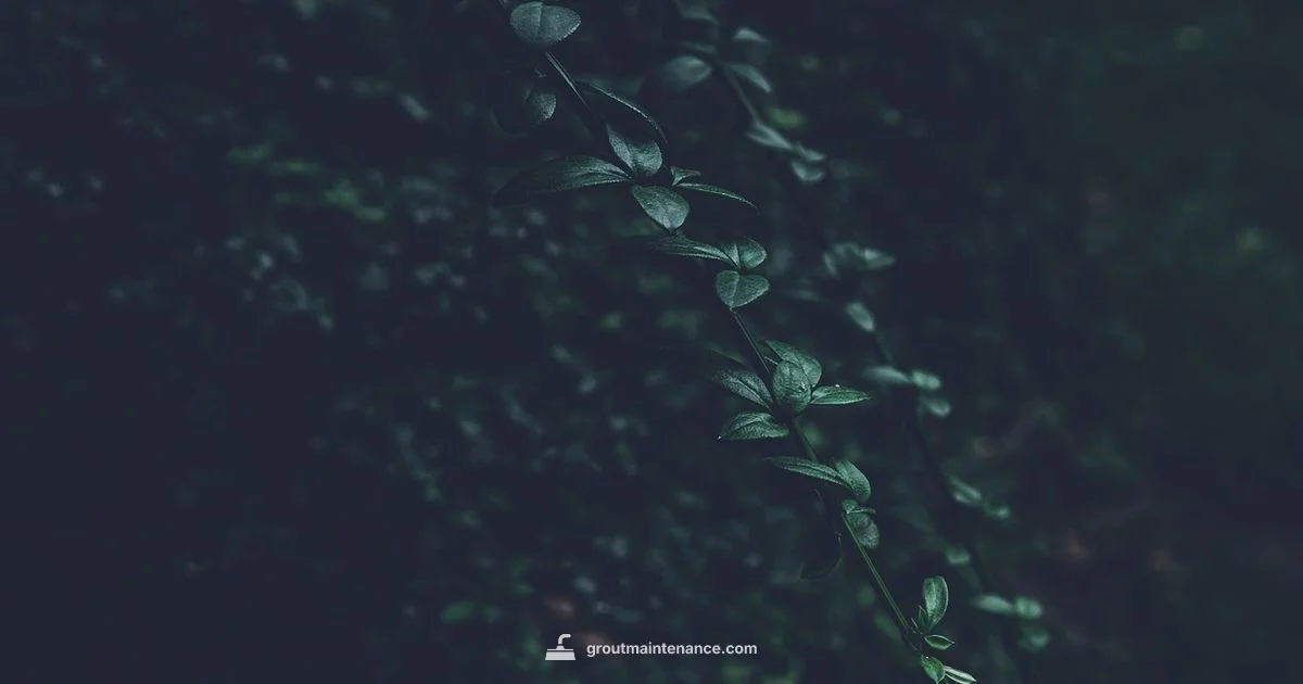 Jasmine Grout Guide Jasmine Grout Guide - Grout Maintenance