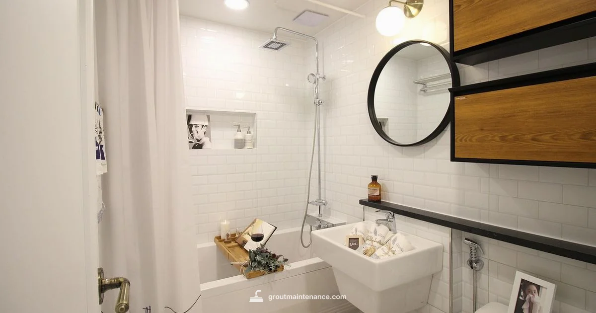 Steam and Grout Steam and Grout - Grout Maintenance