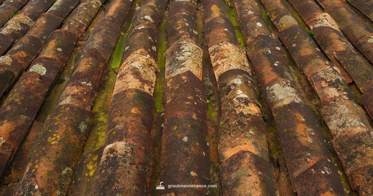 Grout Pen Review - Grout Maintenance