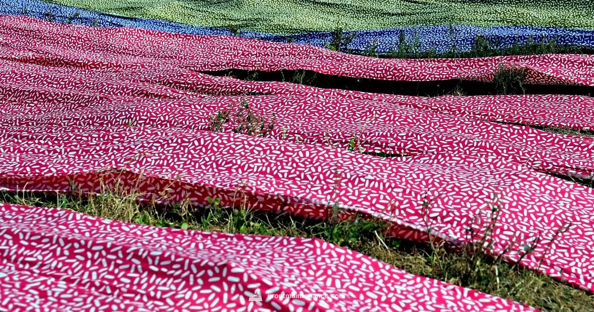 Drying Grout Faster Drying Grout Faster - Grout Maintenance