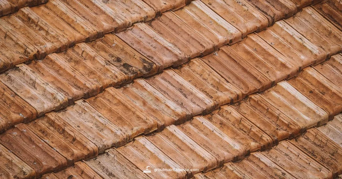 Revive Grout - Grout Maintenance