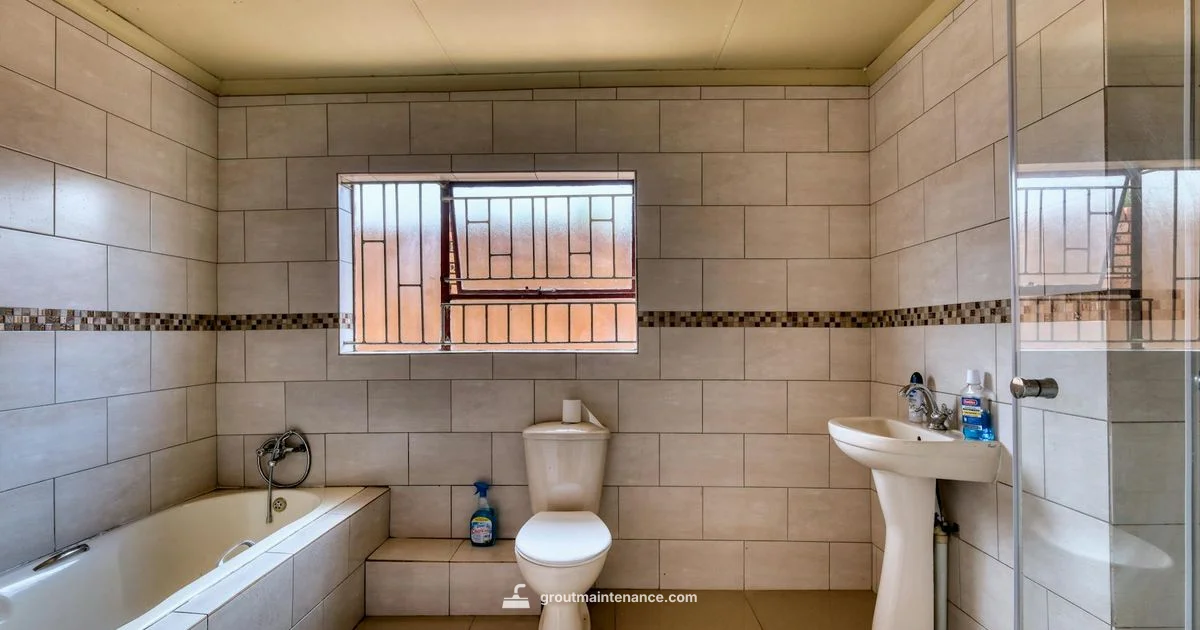 Eggshell vs White - Grout Maintenance