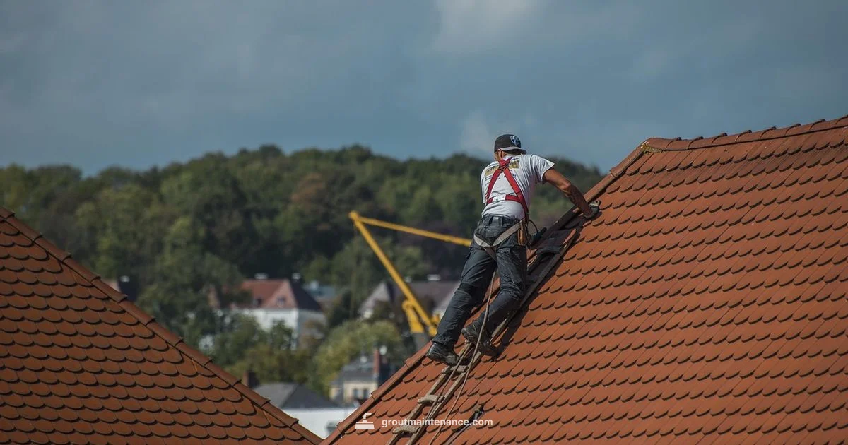 Regrout Basics Regrout Basics - Grout Maintenance