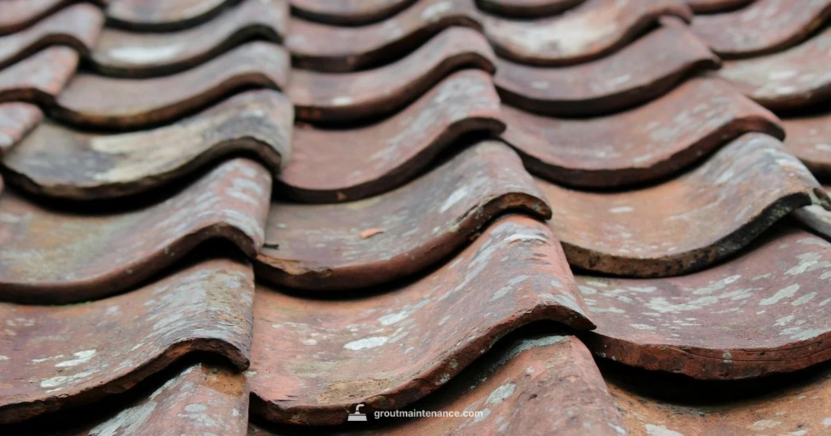 Grout vs Concrete - Grout Maintenance