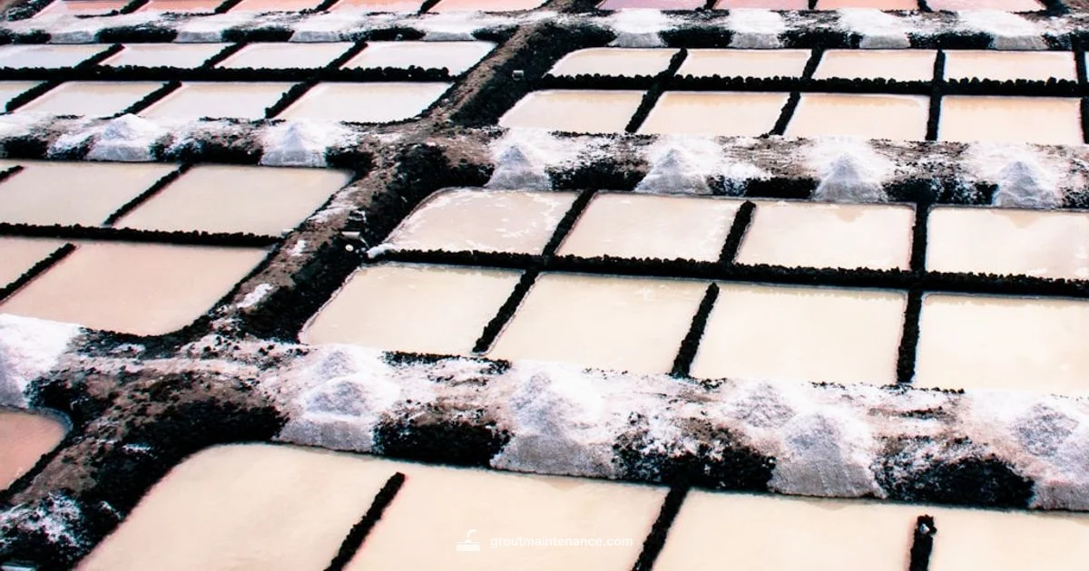 Avalanche Grout Guide - Grout Maintenance