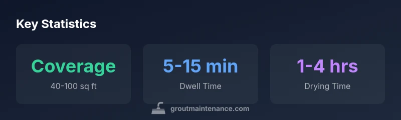 Infographic showing grout reviver usage metrics