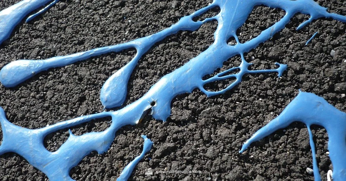 Colorful Grout - Grout Maintenance