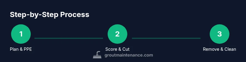 Process infographic showing plan, score, remove steps
