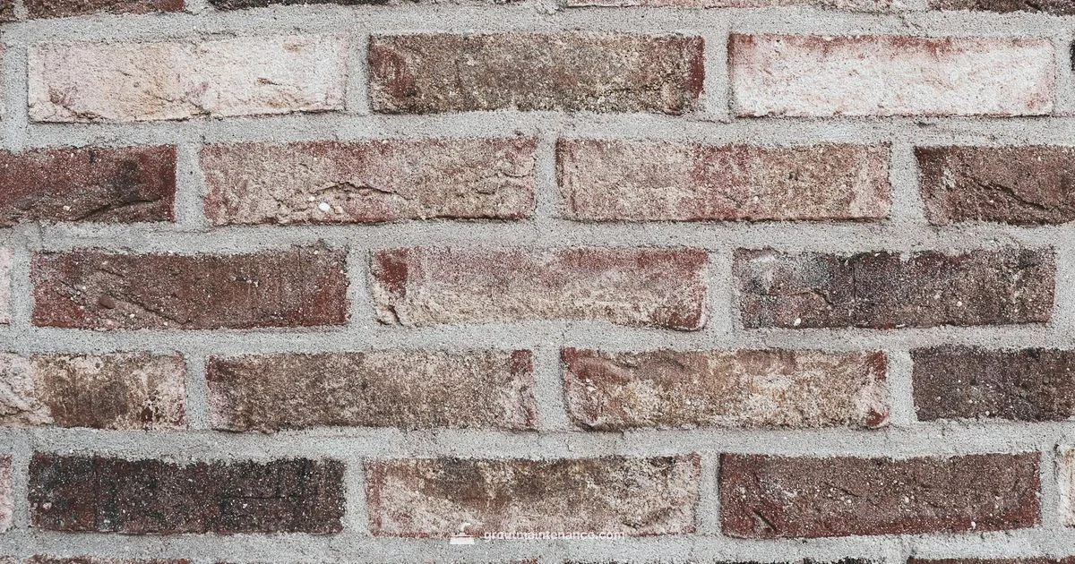 Grout Spacer Guide - Grout Maintenance