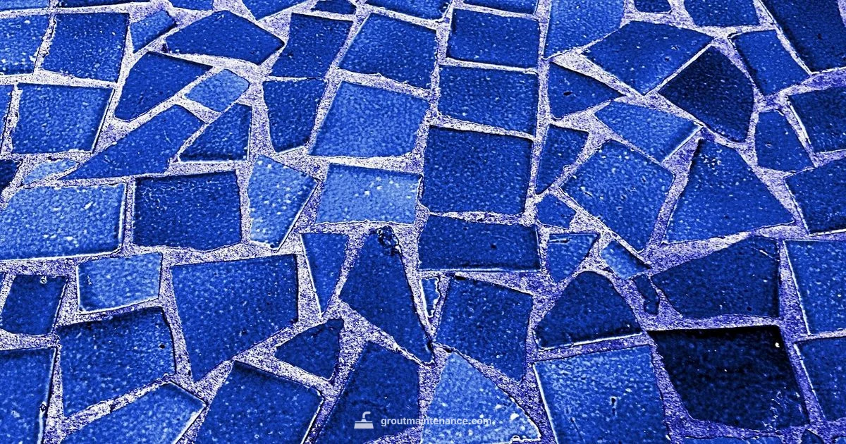 Grout Type Showdown Grout Type Showdown - Grout Maintenance