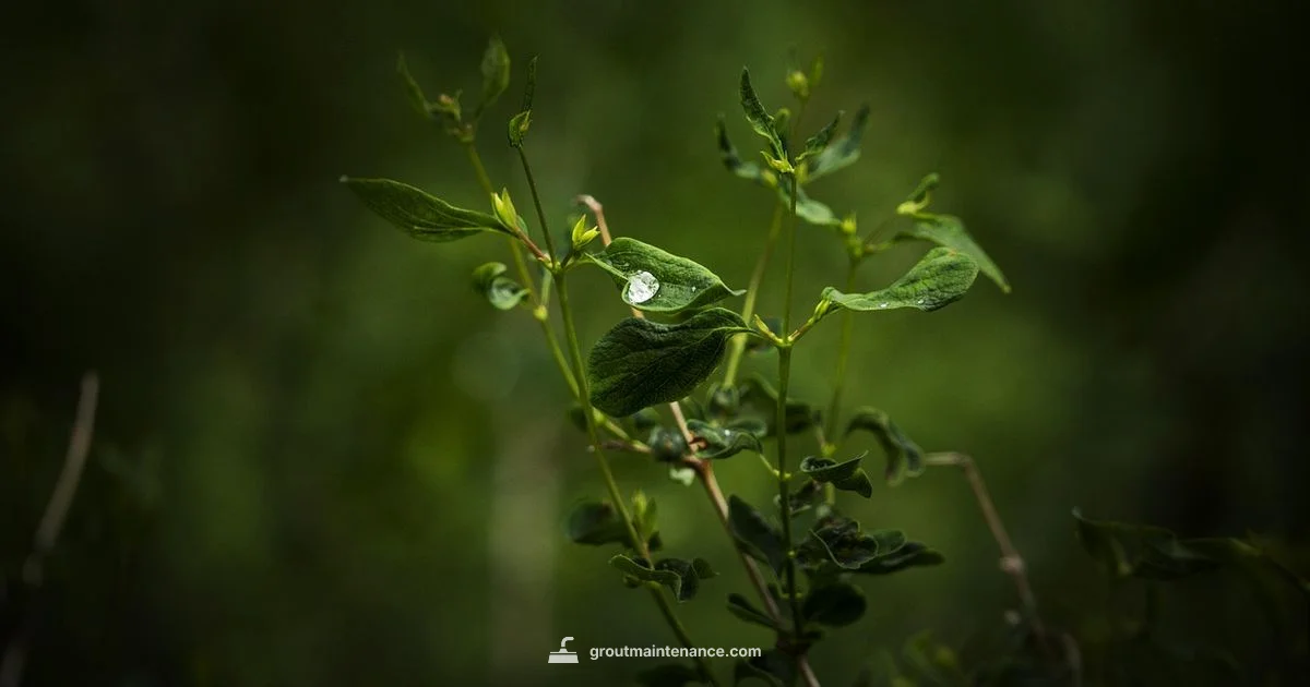 Finger Gout Guide Finger Gout Guide - Grout Maintenance