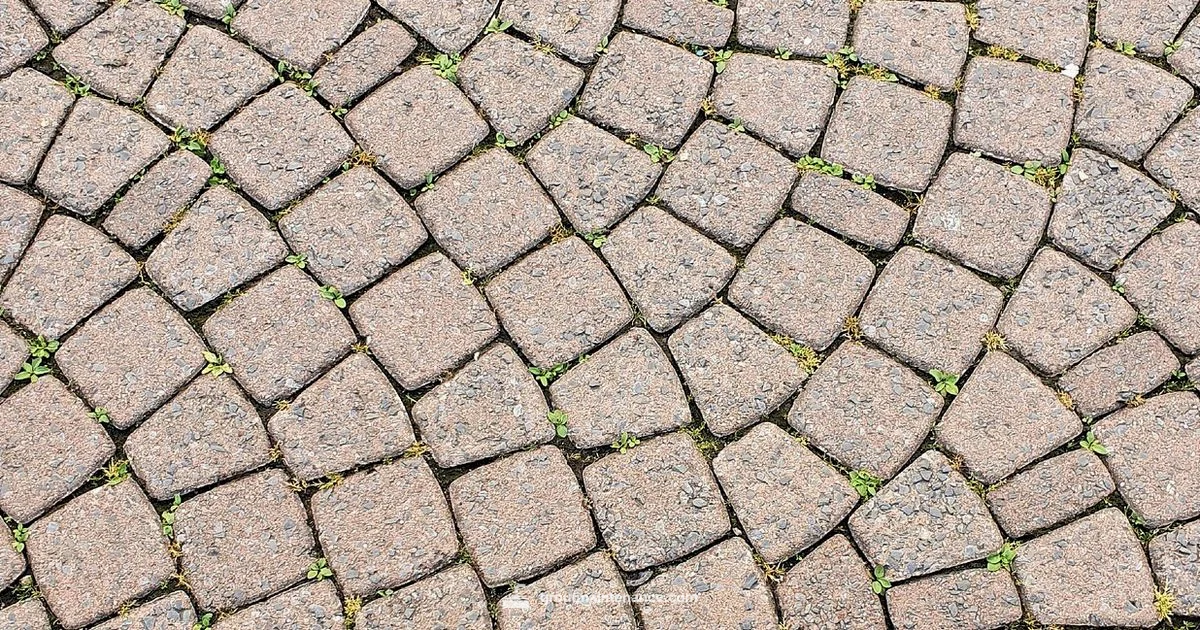 Pavetuf Joint Grout Guide - Grout Maintenance