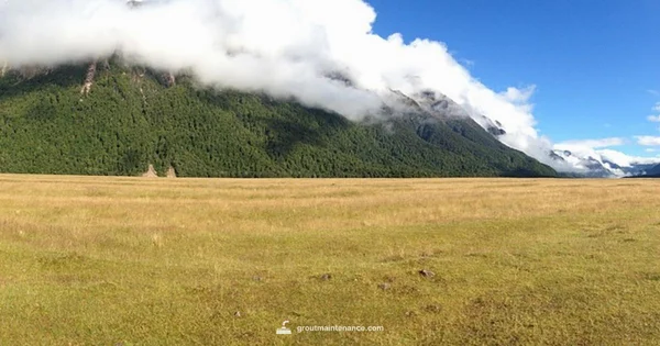 FlexColor CQ Grout Guide - Grout Maintenance