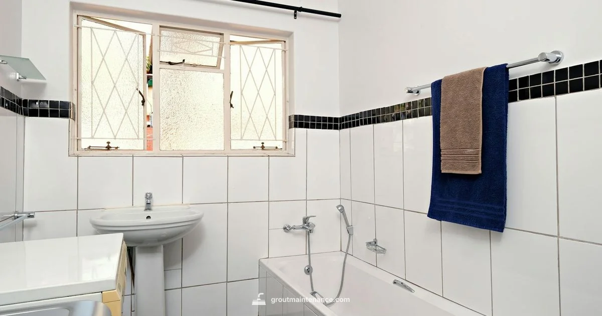 Grout Brush Guide - Grout Maintenance