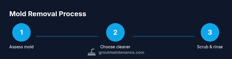 Infographic showing a step-by-step mold removal process for shower grout