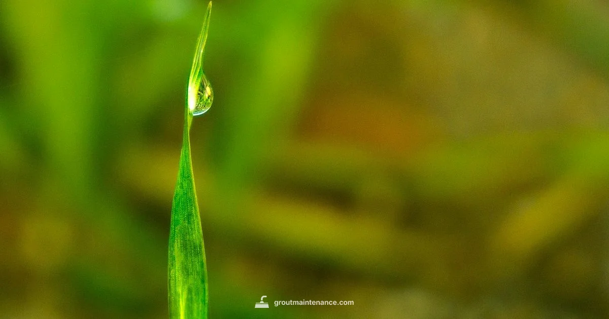 Gout Symptoms Guide Gout Symptoms Guide - Grout Maintenance