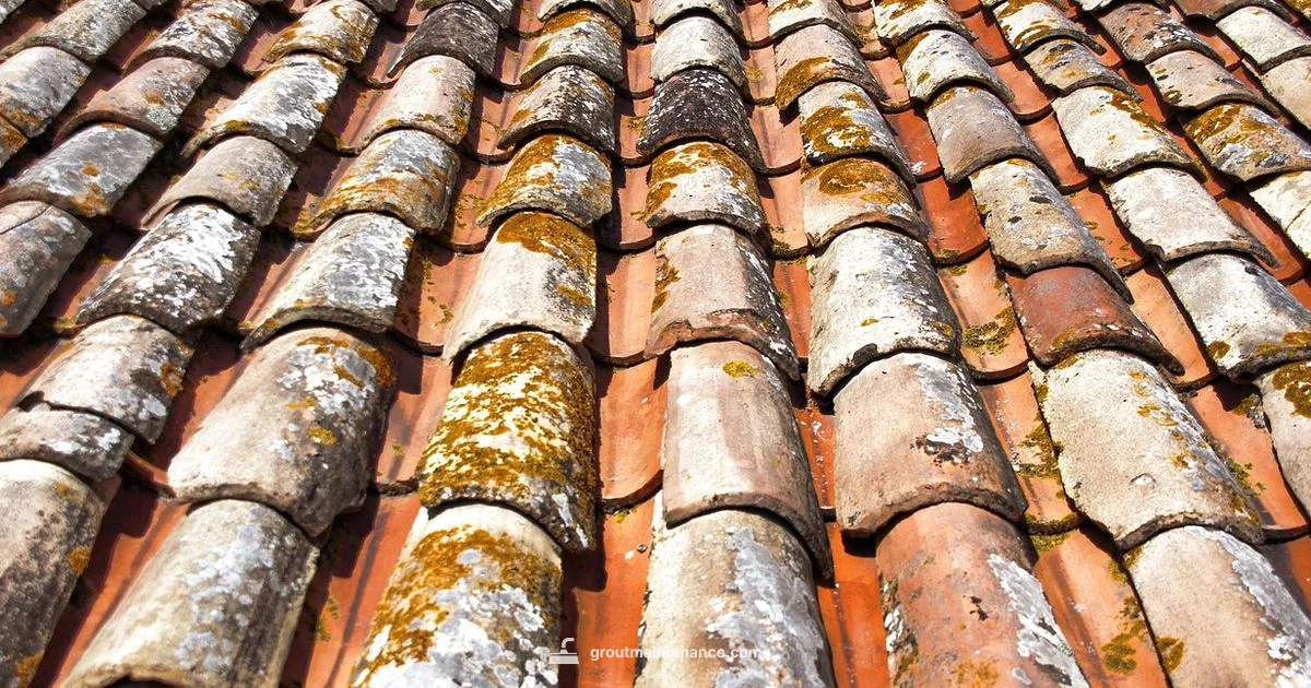 Southern Grout Guide - Grout Maintenance