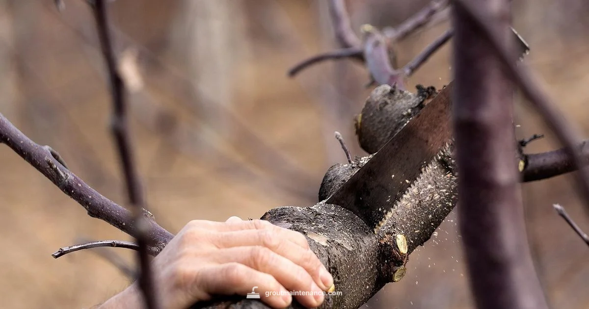 Diamond Blade Guide - Grout Maintenance