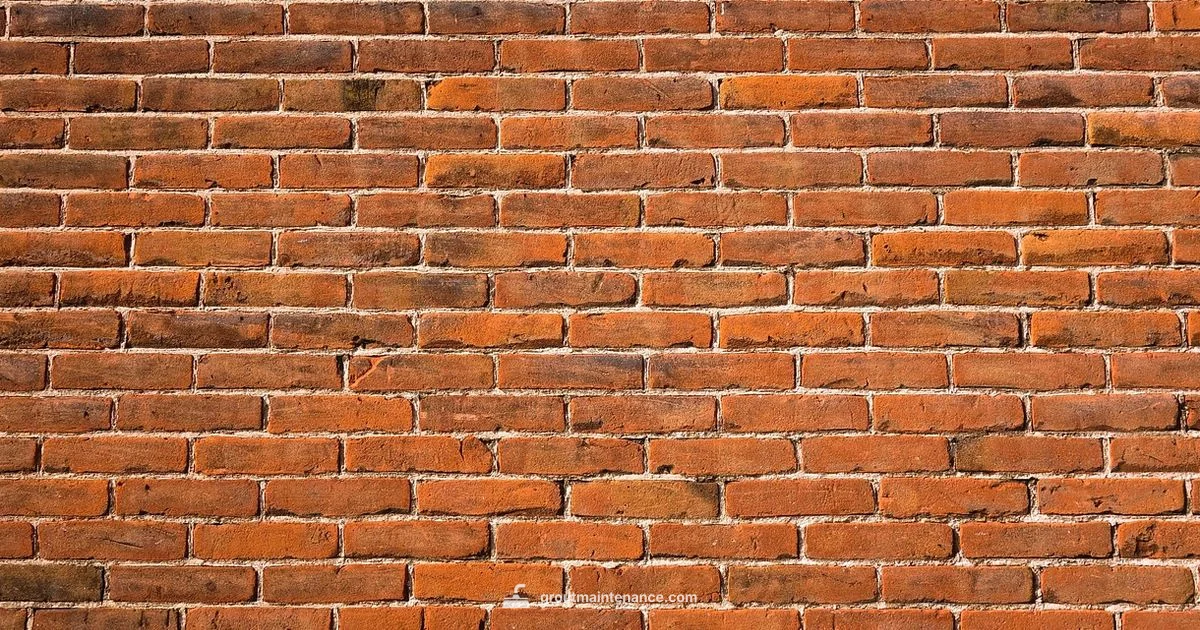 Masonry Grout Guide - Grout Maintenance