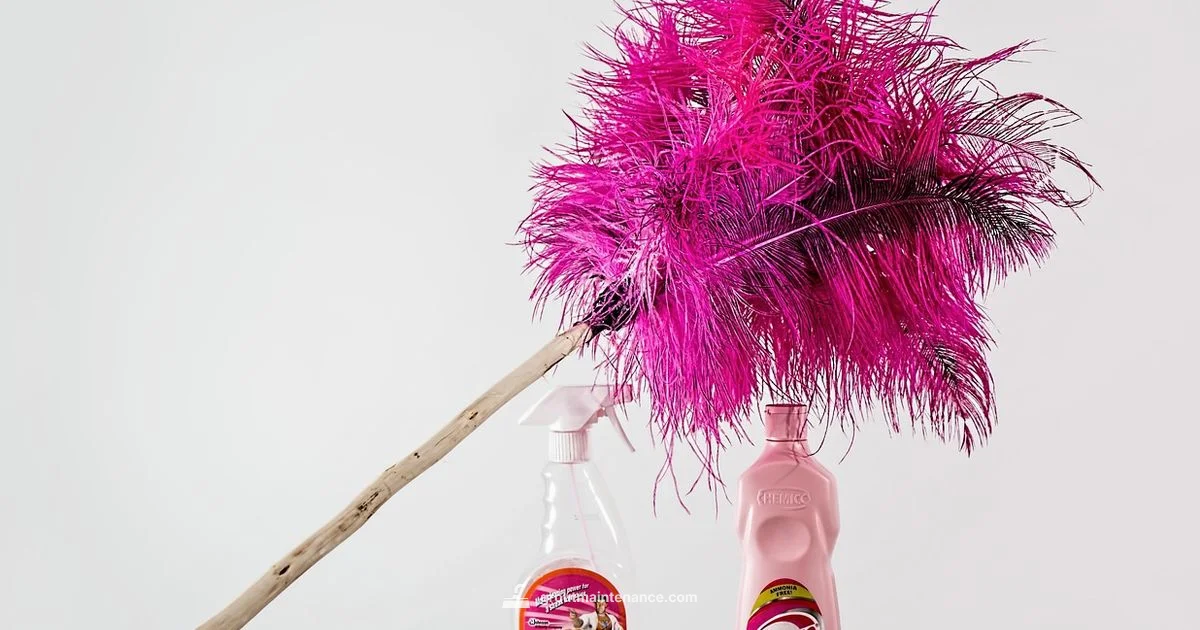 Steam Cleaning Grout Steam Cleaning Grout - Grout Maintenance