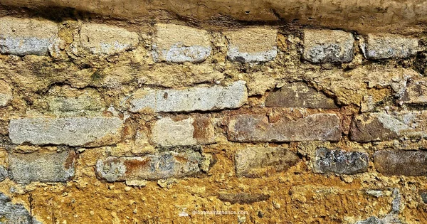 Mortar vs Grout - Grout Maintenance