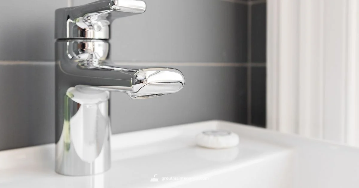 Grout Cleaner in Action Grout Cleaner in Action - Grout Maintenance