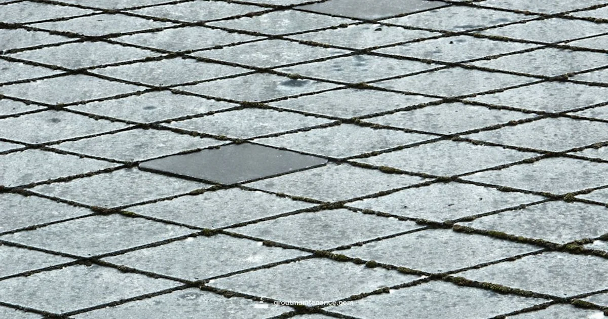 Grout Care Guide Grout Care Guide - Grout Maintenance