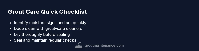 Checklist infographic for grout care