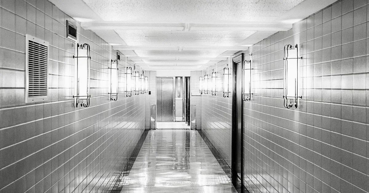 Grout Care Guide Grout Care Guide - Grout Maintenance