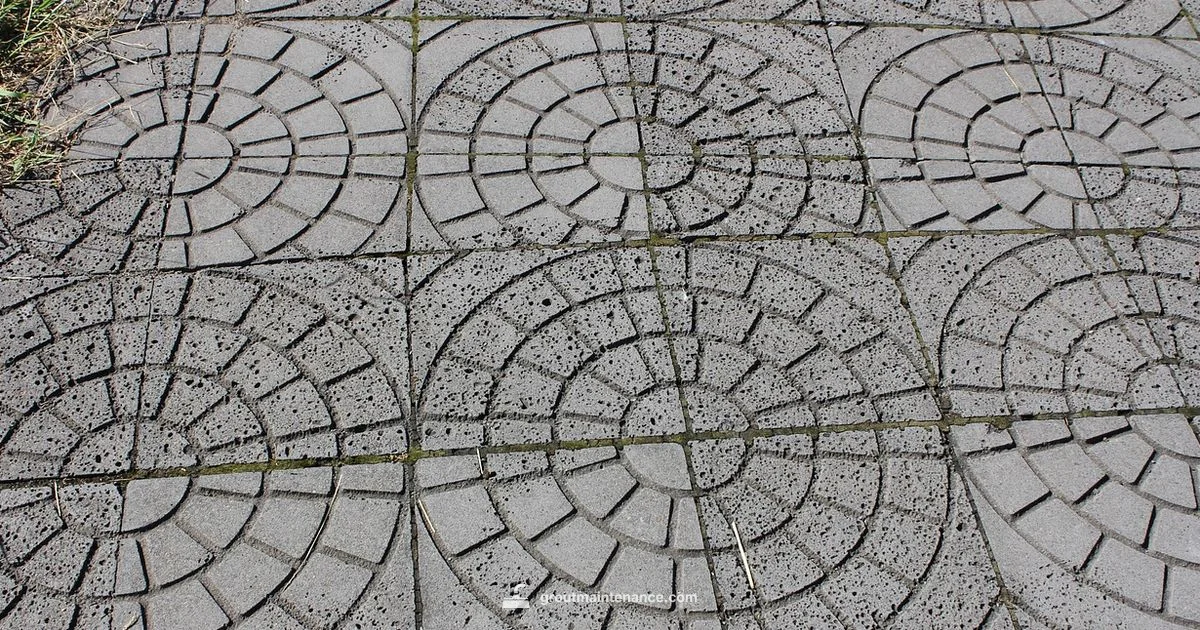 Outdoor Paving Grout Guide - Grout Maintenance