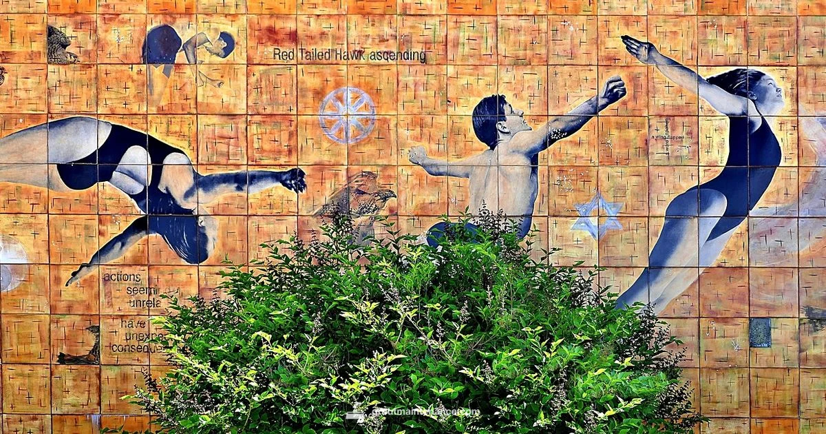 Top 10 Epoxy Grout - Grout Maintenance