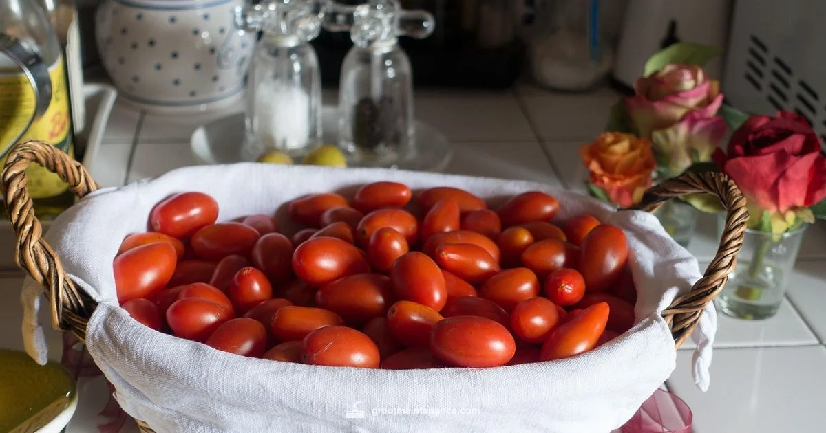 Colorful Grout Guide - Grout Maintenance