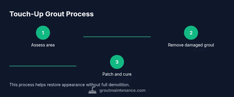 Three-step grout touch-up infographic