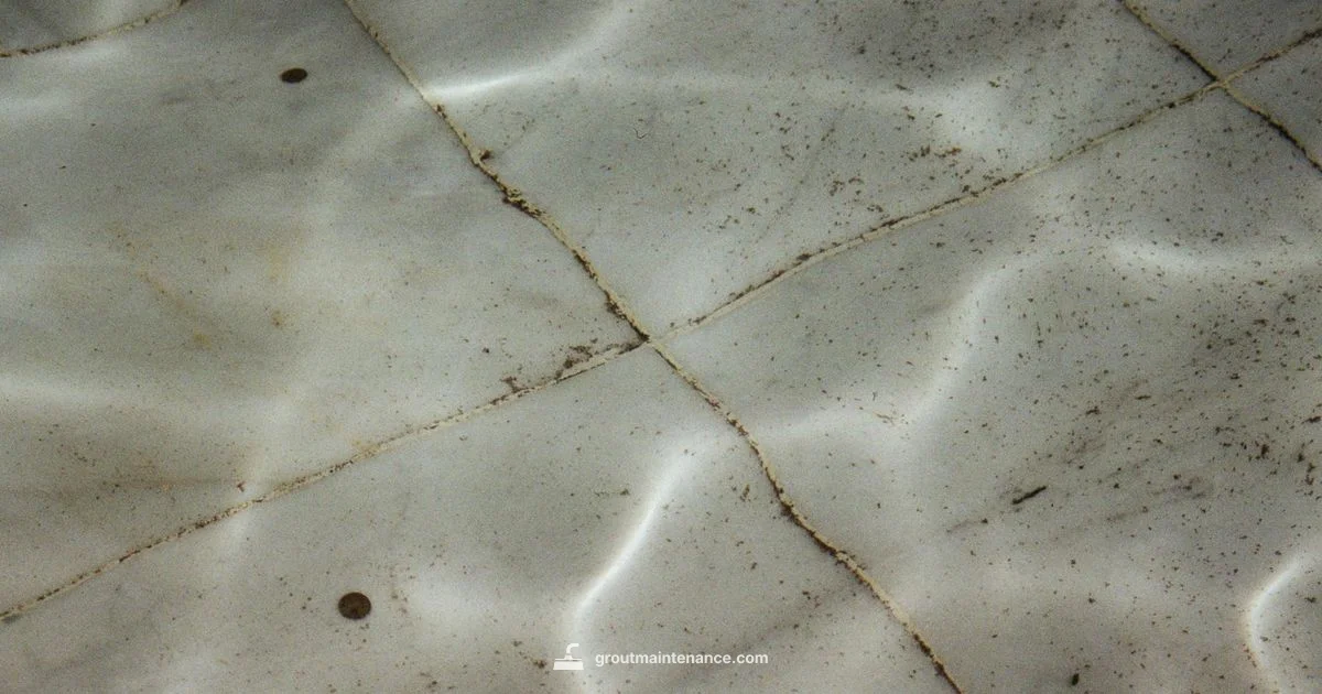Grout Care Basics - Grout Maintenance