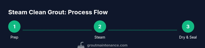 Process flow diagram for steam cleaning grout