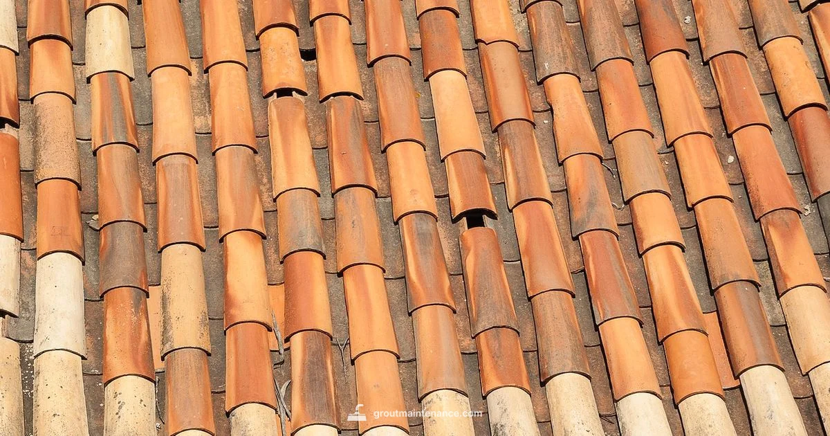 Warm Grout for Terracotta - Grout Maintenance