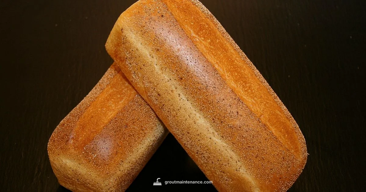 Grout Mold Guide Grout Mold Guide - Grout Maintenance
