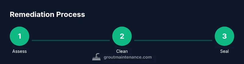 Infographic showing steps to kill grout mold