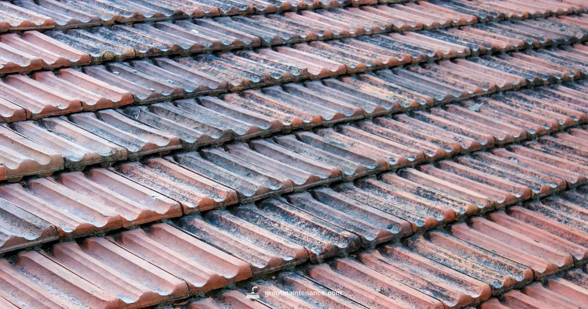 Pixel Grout Bug - Grout Maintenance