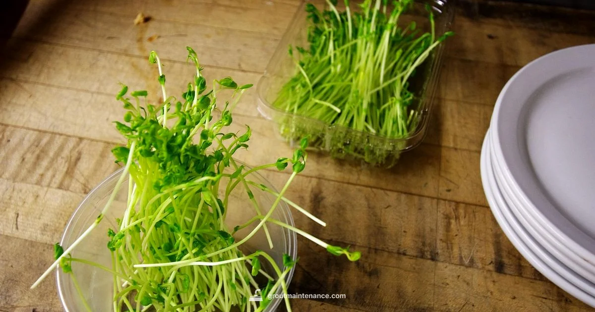 Grout Prep Guide - Grout Maintenance