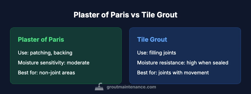 Comparison infographic showing plaster vs grout usage
