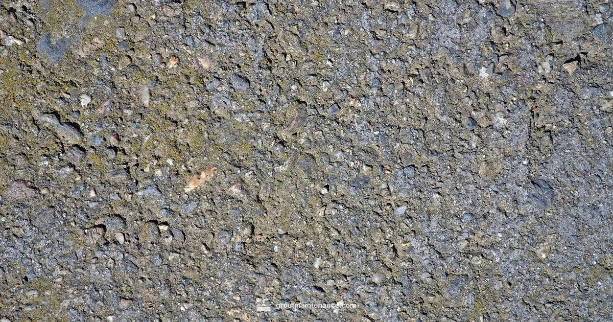 Grout vs Cement - Grout Maintenance